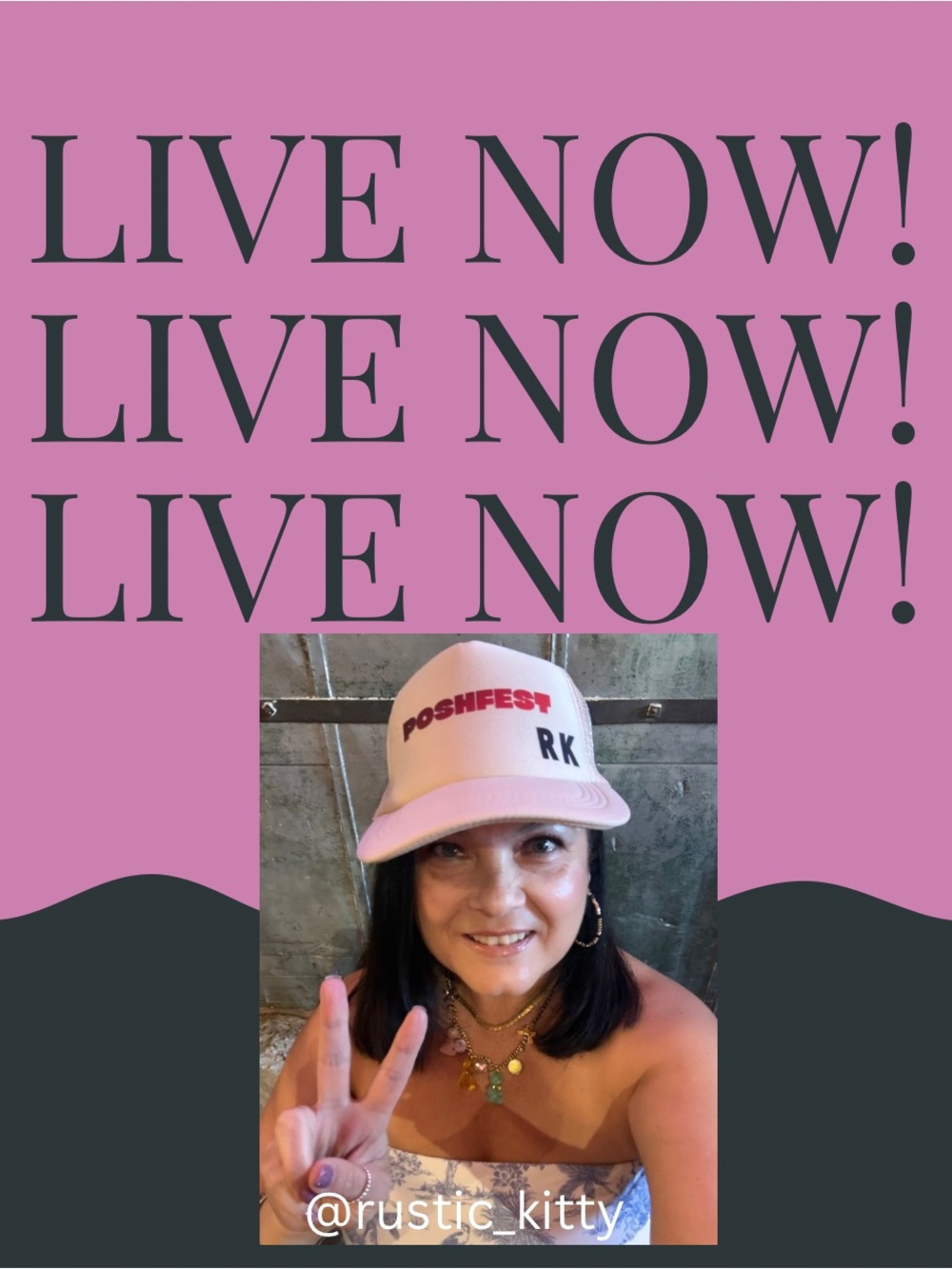 🛍️ LIVE LISTING ONLY this is my notification when rustic_kitty goes live! 🫶